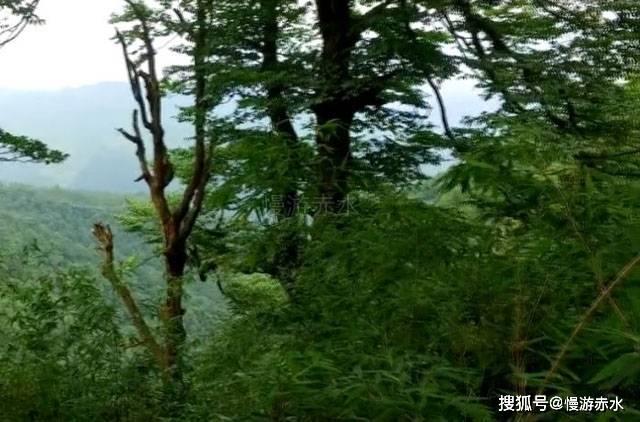 cf全体集合英文发音